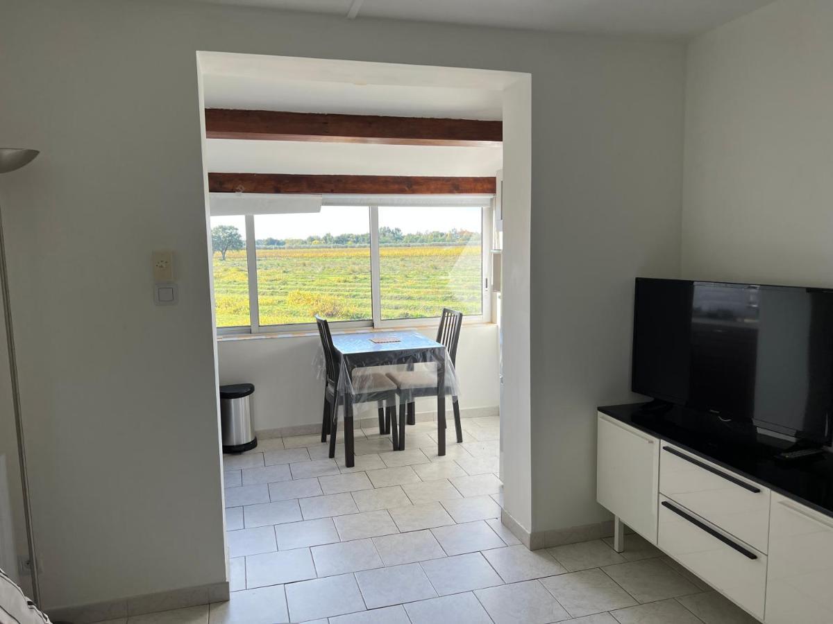 Joli Studio Tres Clair A Proximite Mer Pour 3 Personnes La Londe-les-Maures Exterior foto