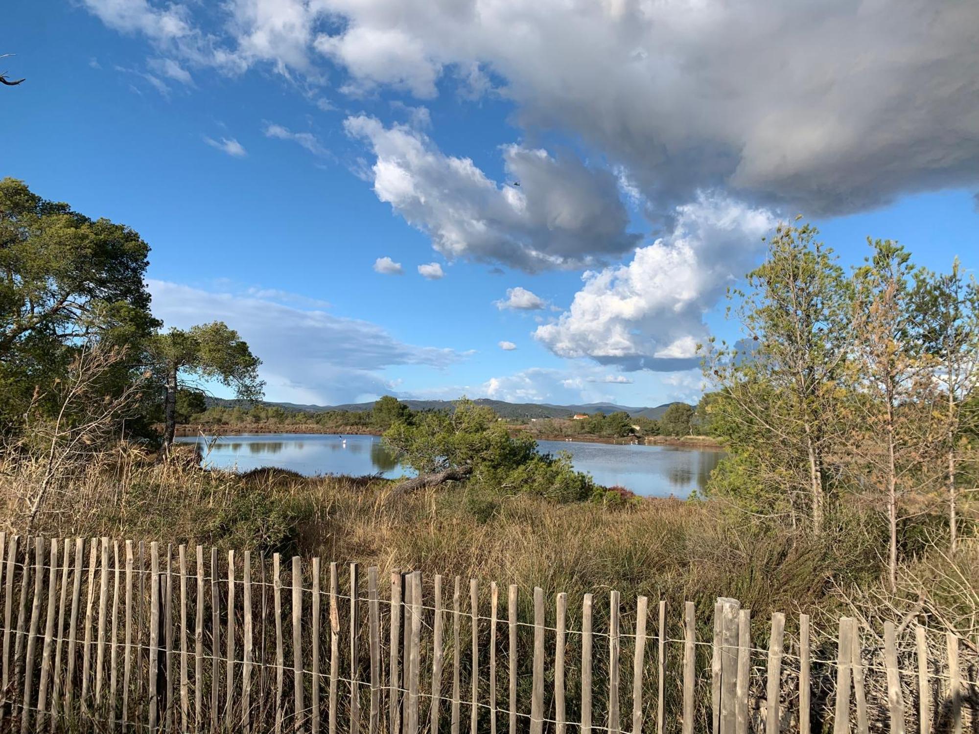 Joli Studio Tres Clair A Proximite Mer Pour 3 Personnes La Londe-les-Maures Exterior foto